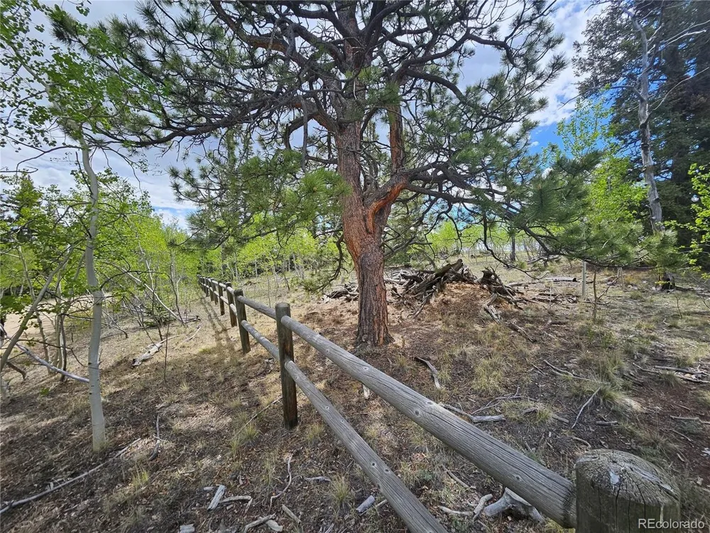 412 Smith And Wesson Road Como, CO 80456