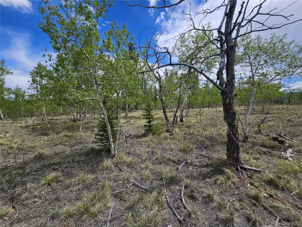 412 Smith And Wesson Road Como, CO 80456