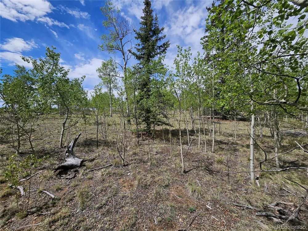 412 Smith And Wesson Road Como, CO 80456