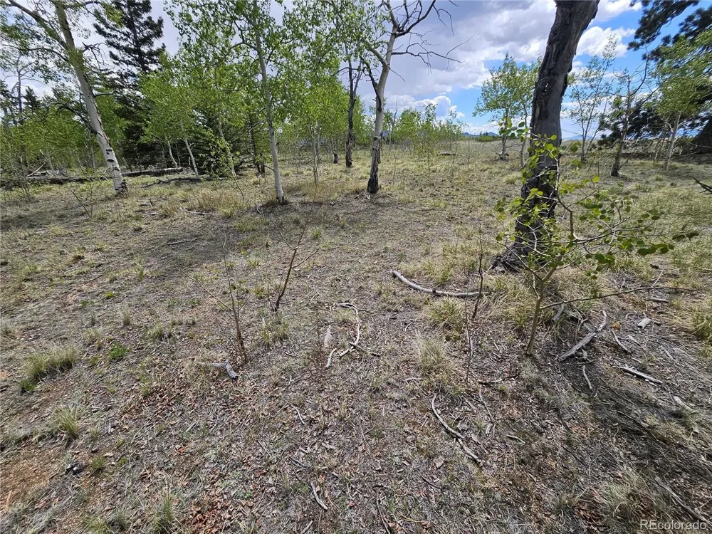 412 Smith And Wesson Road Como, CO 80456