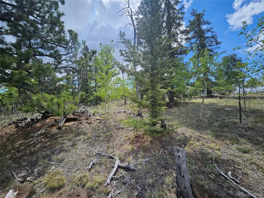 412 Smith And Wesson Road Como, CO 80456