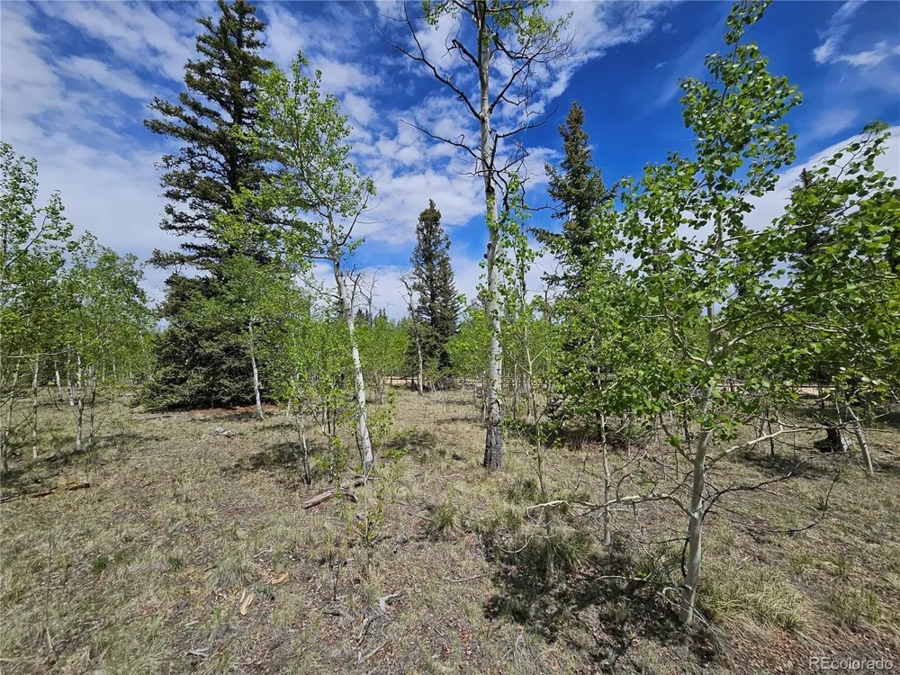 412 Smith And Wesson Road Como, CO 80456
