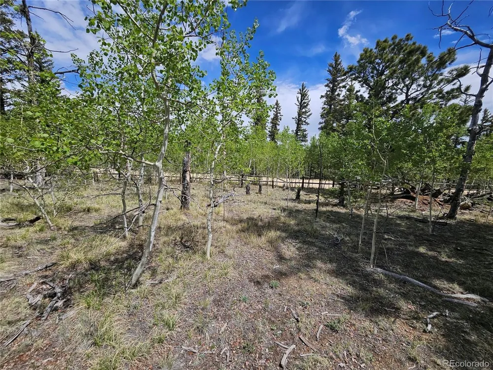 412 Smith And Wesson Road Como, CO 80456