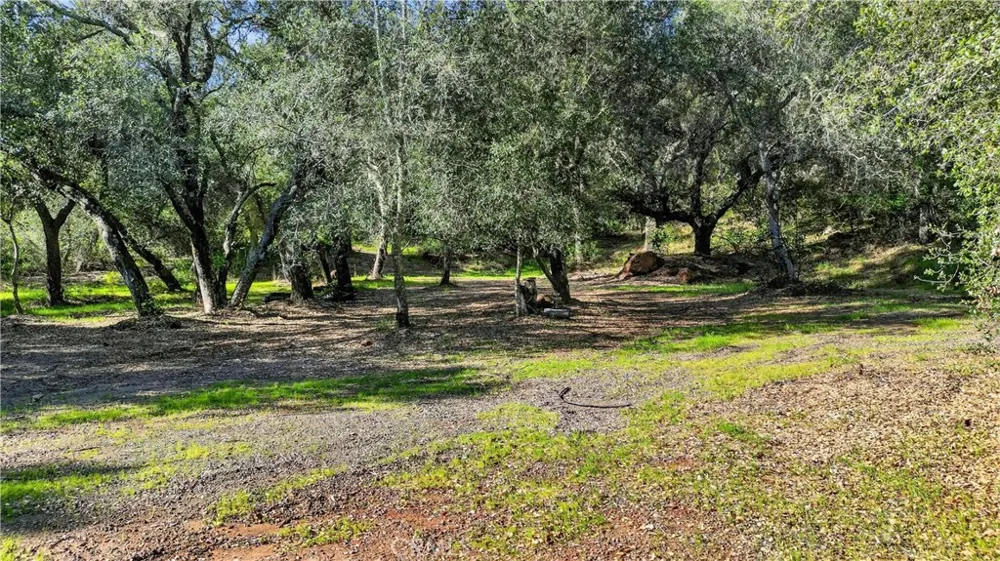 Avenida Perla Bonita Murrieta, CA 92562