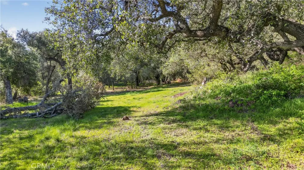 Avenida Perla Bonita Murrieta, CA 92562