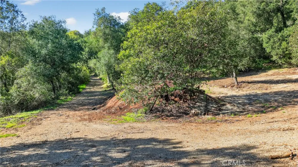 Avenida Perla Bonita Murrieta, CA 92562