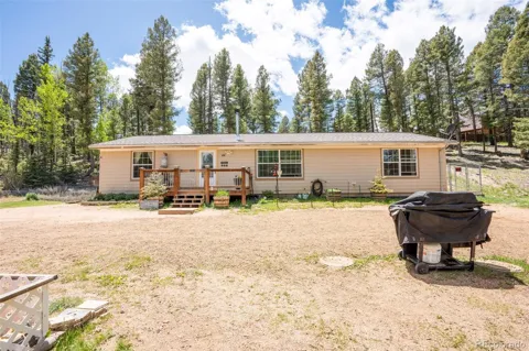 44 Silver Trail