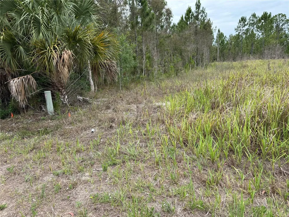 1009 JACKSON AVENUE Lehigh Acres, FL 33972