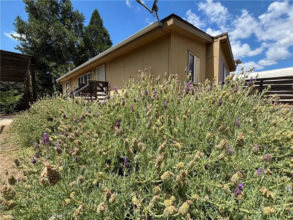 5151 Jones Street Mariposa, CA 95338