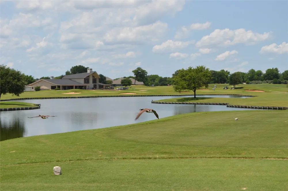 2541 Vineyard Drive Granbury, TX 76048