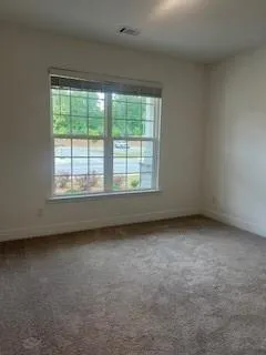 14 Candleberry Way Sharpsburg, GA 30277