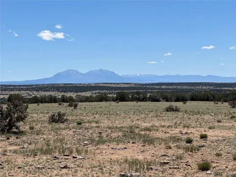 169 Tyrone Hills
