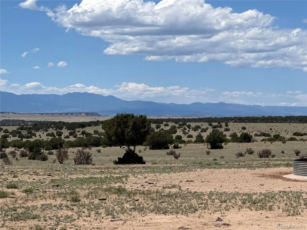 169 Tyrone Hills Walsenburg, CO 81089