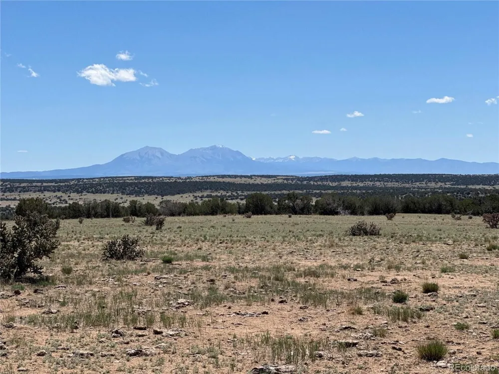 169 Tyrone Hills Walsenburg, CO 81089