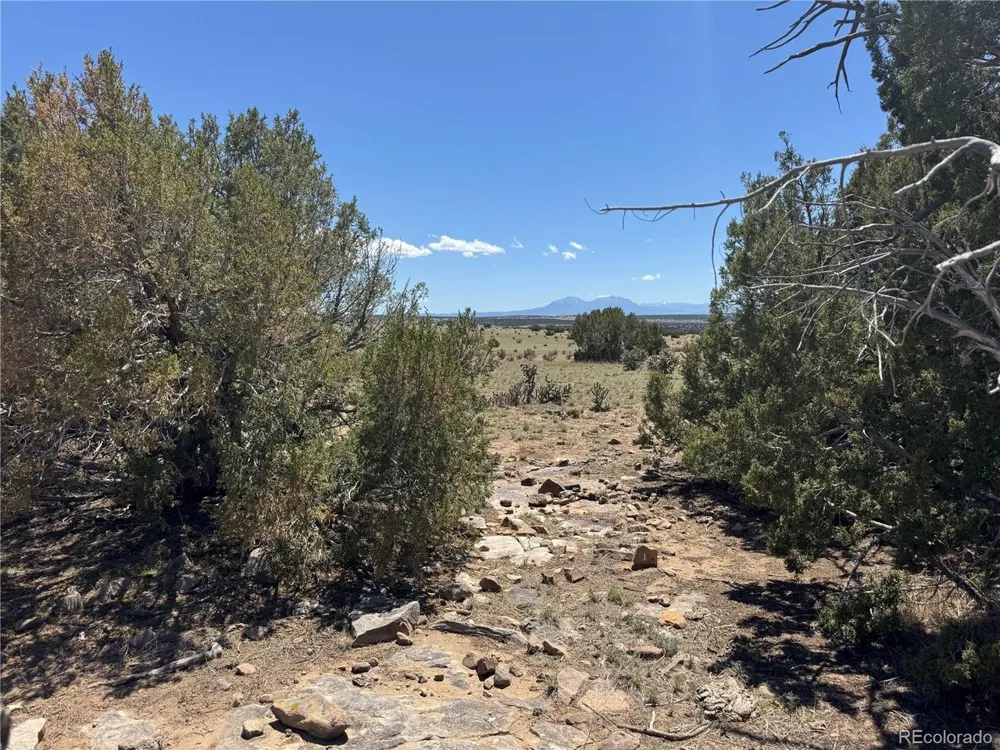 169 Tyrone Hills Walsenburg, CO 81089