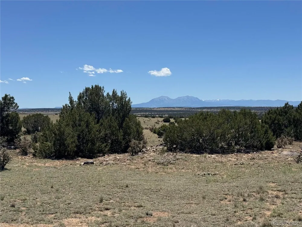 169 Tyrone Hills Walsenburg, CO 81089