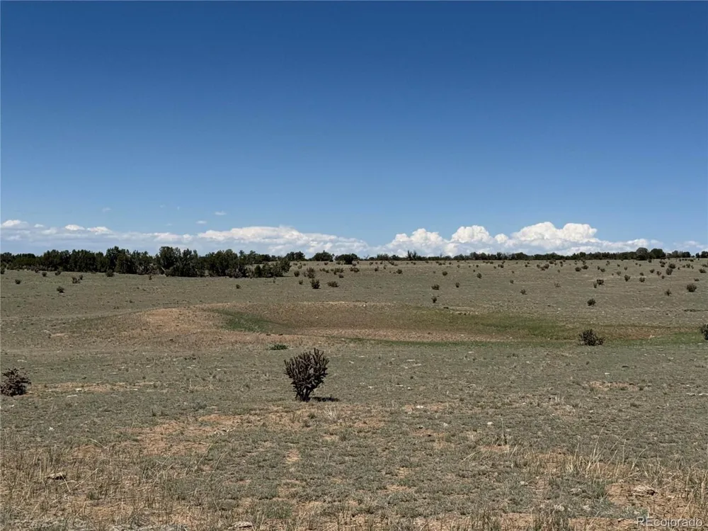 169 Tyrone Hills Walsenburg, CO 81089
