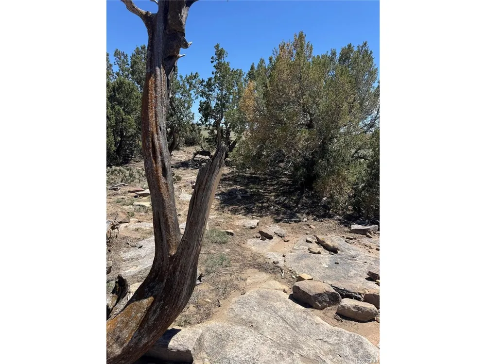 169 Tyrone Hills Walsenburg, CO 81089