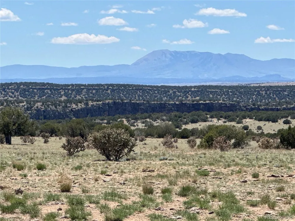 169 Tyrone Hills Walsenburg, CO 81089