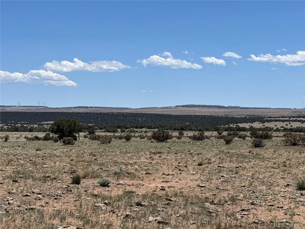 169 Tyrone Hills Walsenburg, CO 81089