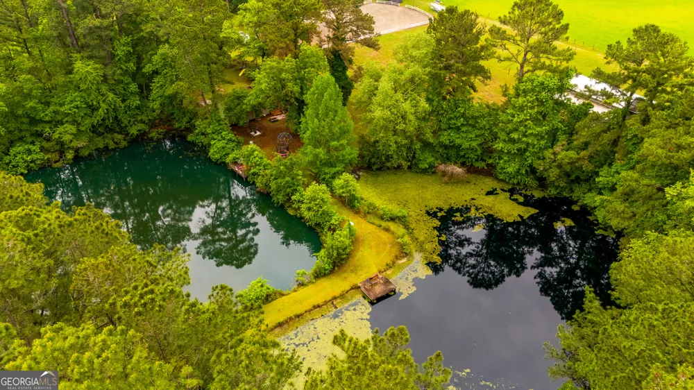 4221 Ga Highway 119 N Clyo, GA 31303
