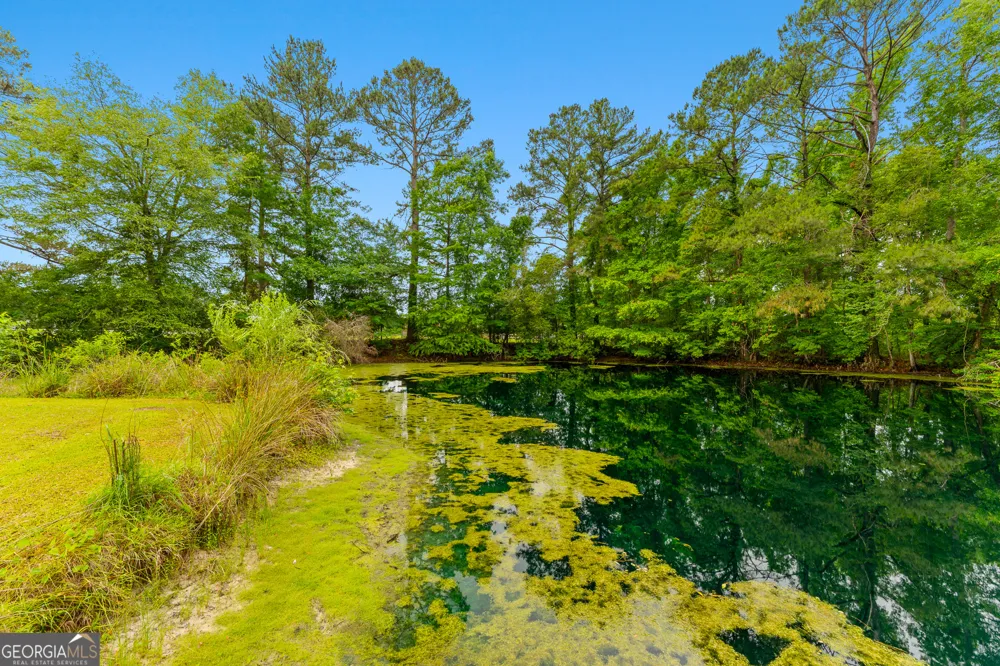 4221 Ga Highway 119 N Clyo, GA 31303