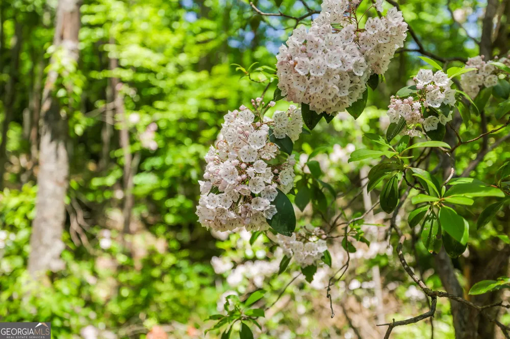 108 Olds Mountain Peak Rabun Gap, GA 30568