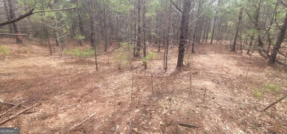 306 Patterson RD Griffin, GA 30223
