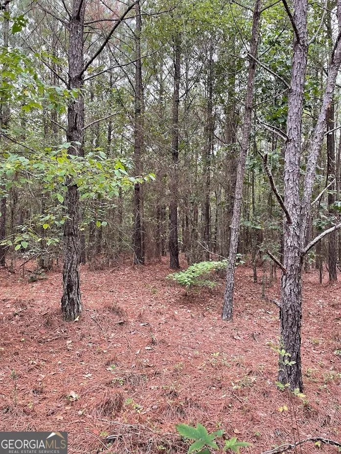 0 Spence RD Fairburn, GA 30213