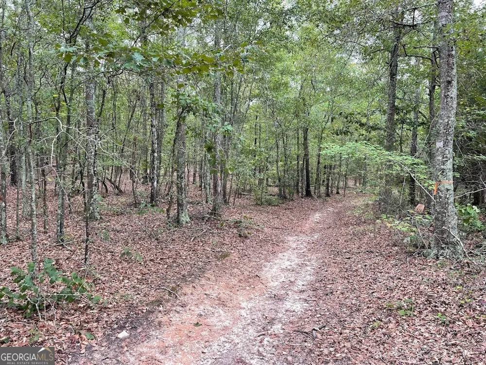 0 Spence RD Fairburn, GA 30213