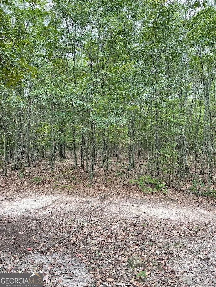 0 Spence RD Fairburn, GA 30213