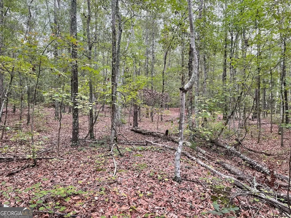 0 Spence RD Fairburn, GA 30213