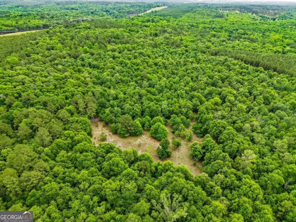 0 River RD Waynesboro, GA 30830