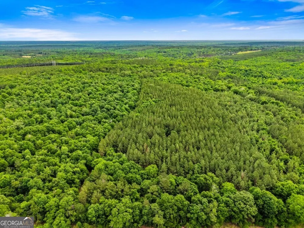 0 River RD Waynesboro, GA 30830