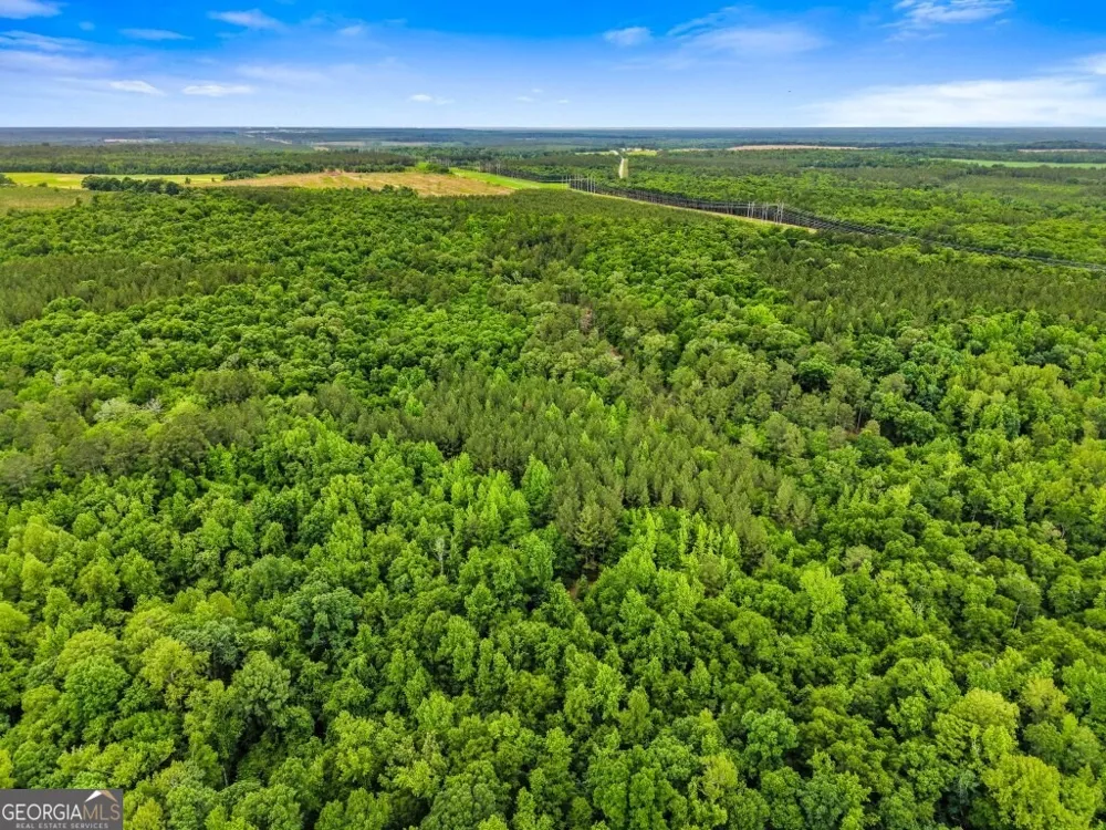 0 River RD Waynesboro, GA 30830