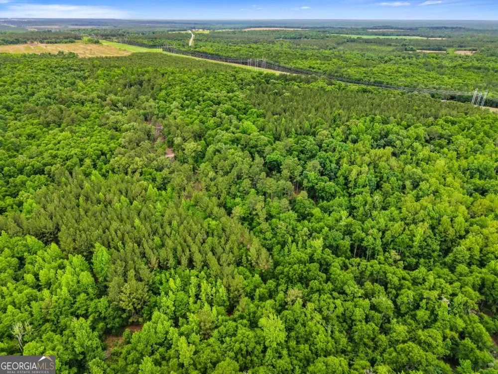0 River RD Waynesboro, GA 30830