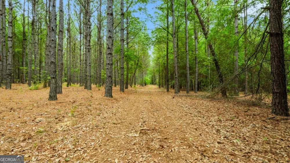 0 River RD Waynesboro, GA 30830