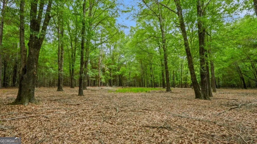 0 River RD Waynesboro, GA 30830