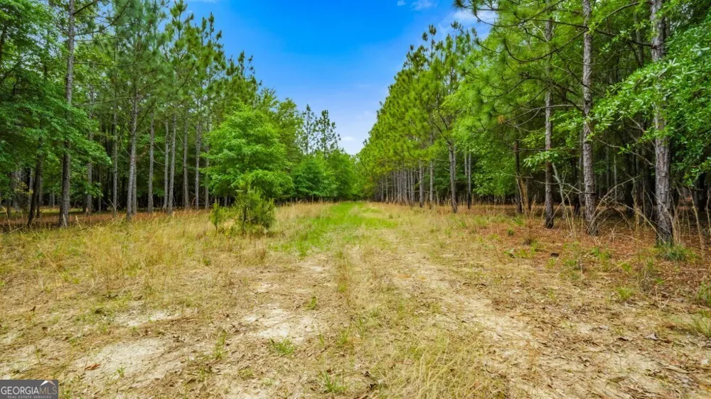 0 River RD Waynesboro, GA 30830