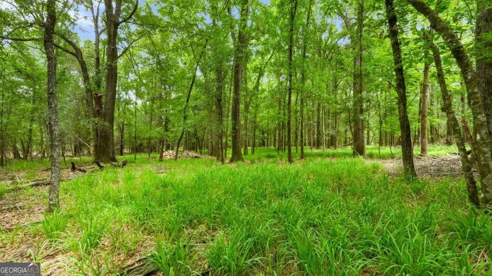 0 River RD Waynesboro, GA 30830