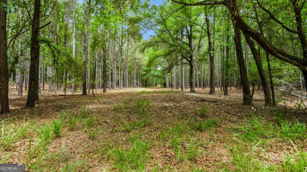 0 River RD Waynesboro, GA 30830
