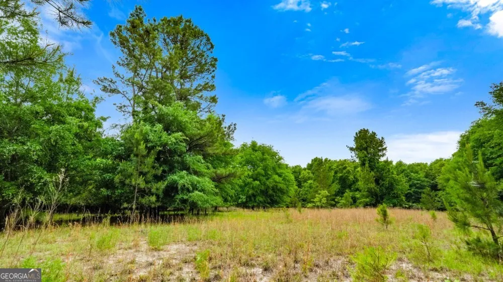 0 River RD Waynesboro, GA 30830