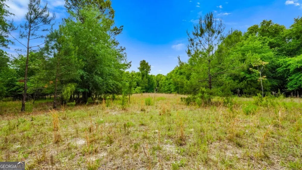 0 River RD Waynesboro, GA 30830
