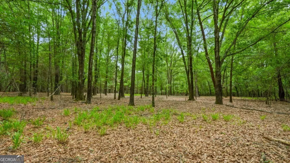 0 River RD Waynesboro, GA 30830