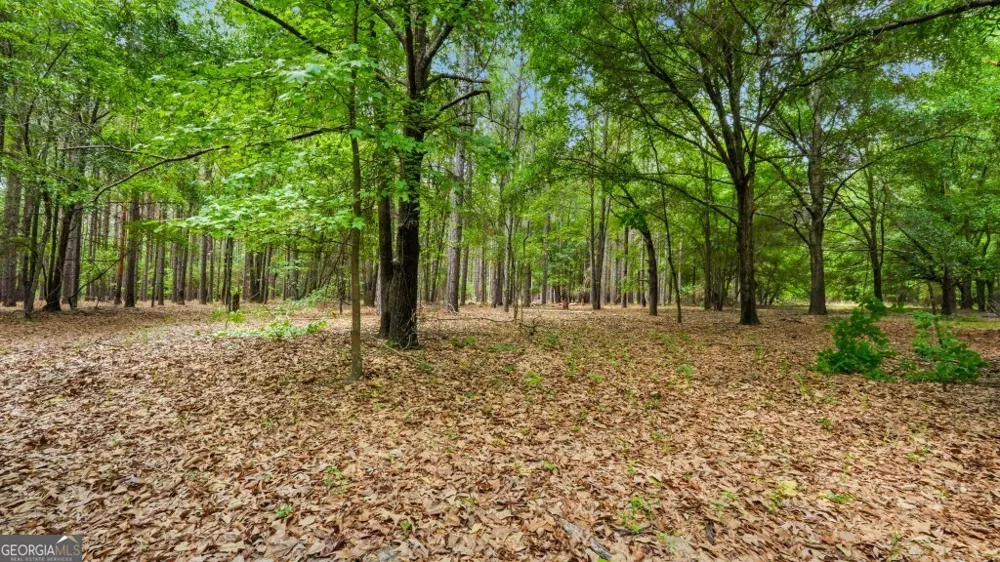 0 River RD Waynesboro, GA 30830