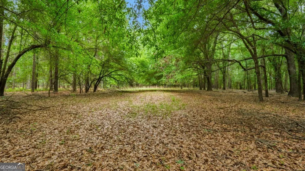 0 River RD Waynesboro, GA 30830