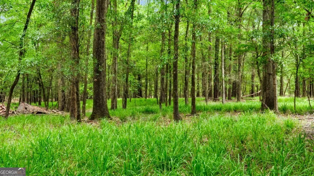 0 River RD Waynesboro, GA 30830