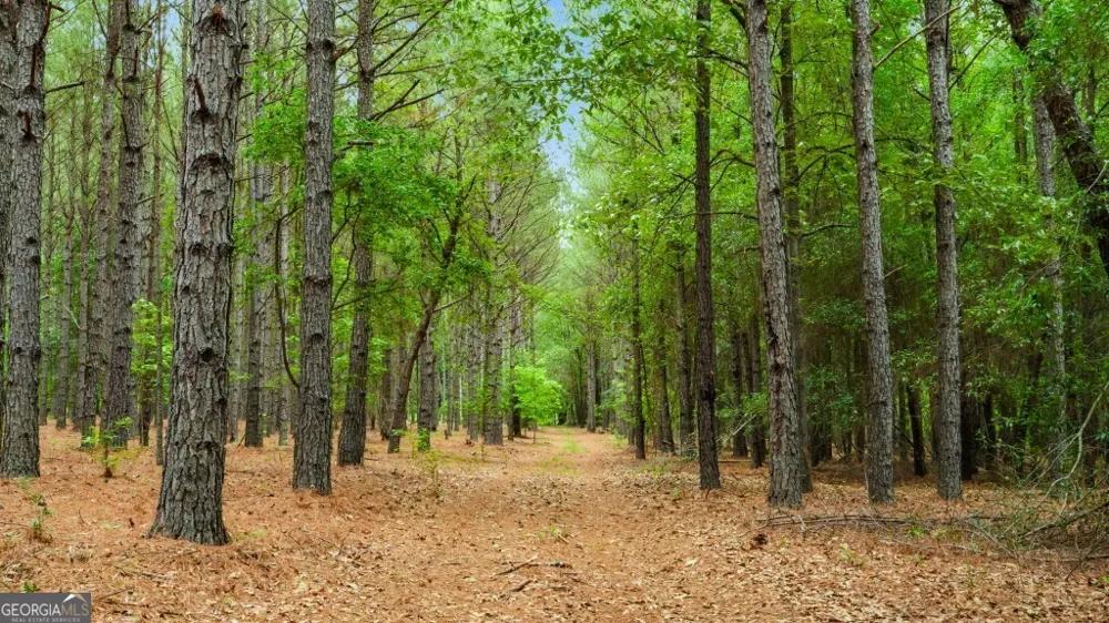 0 River RD Waynesboro, GA 30830