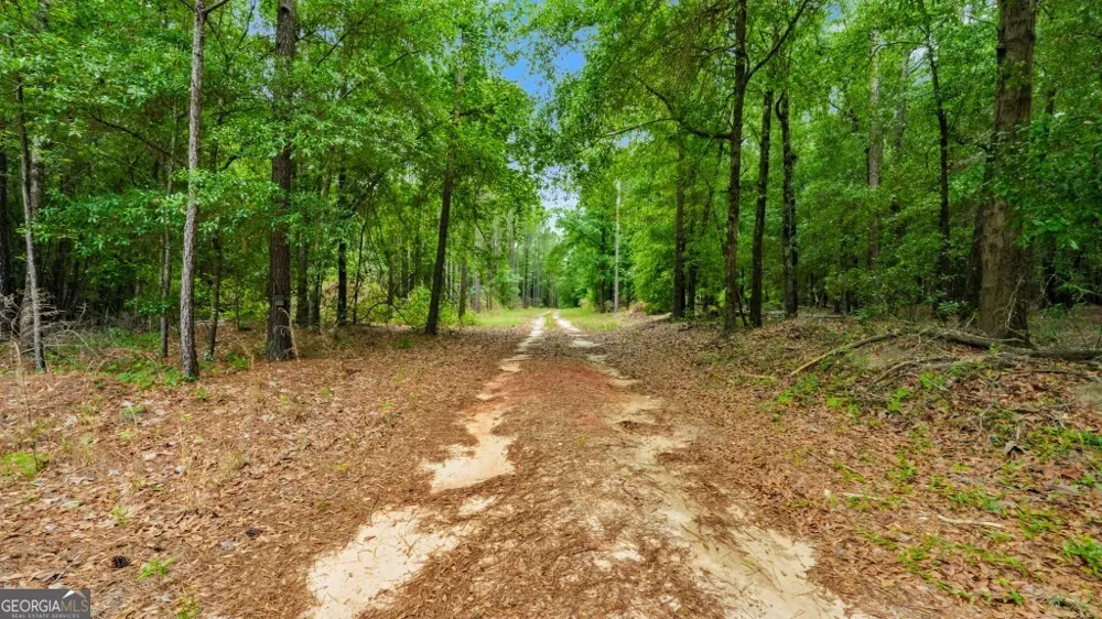 0 River RD Waynesboro, GA 30830