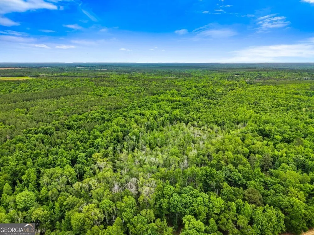 0 River RD Waynesboro, GA 30830